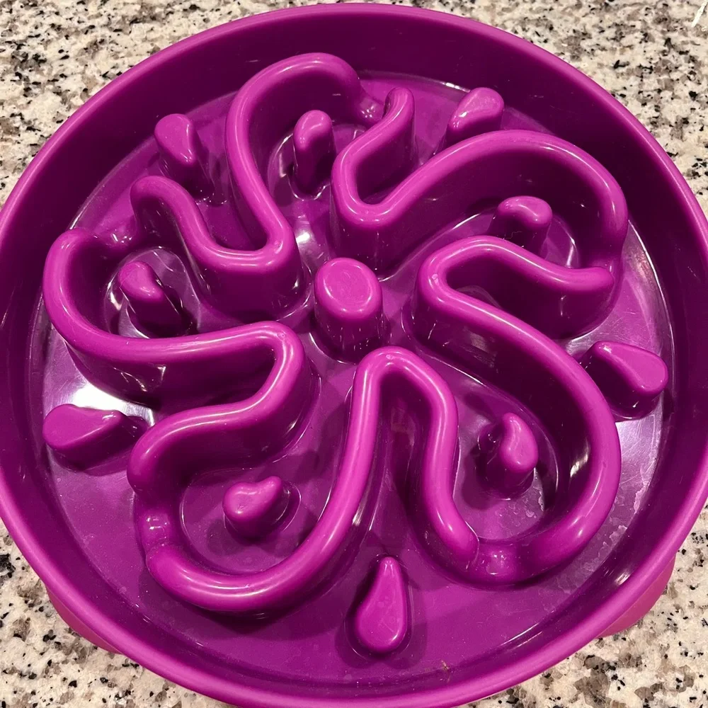 Outward Hound Fun Feeder Slo Bowl, Large Slow Feeder Dog Bowl,